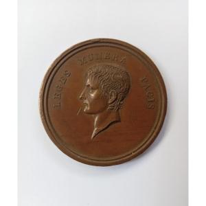 Bonaparte Medal, Constitution Of The Cisalpine Republic In Lyon Year X (1802), By Mercier