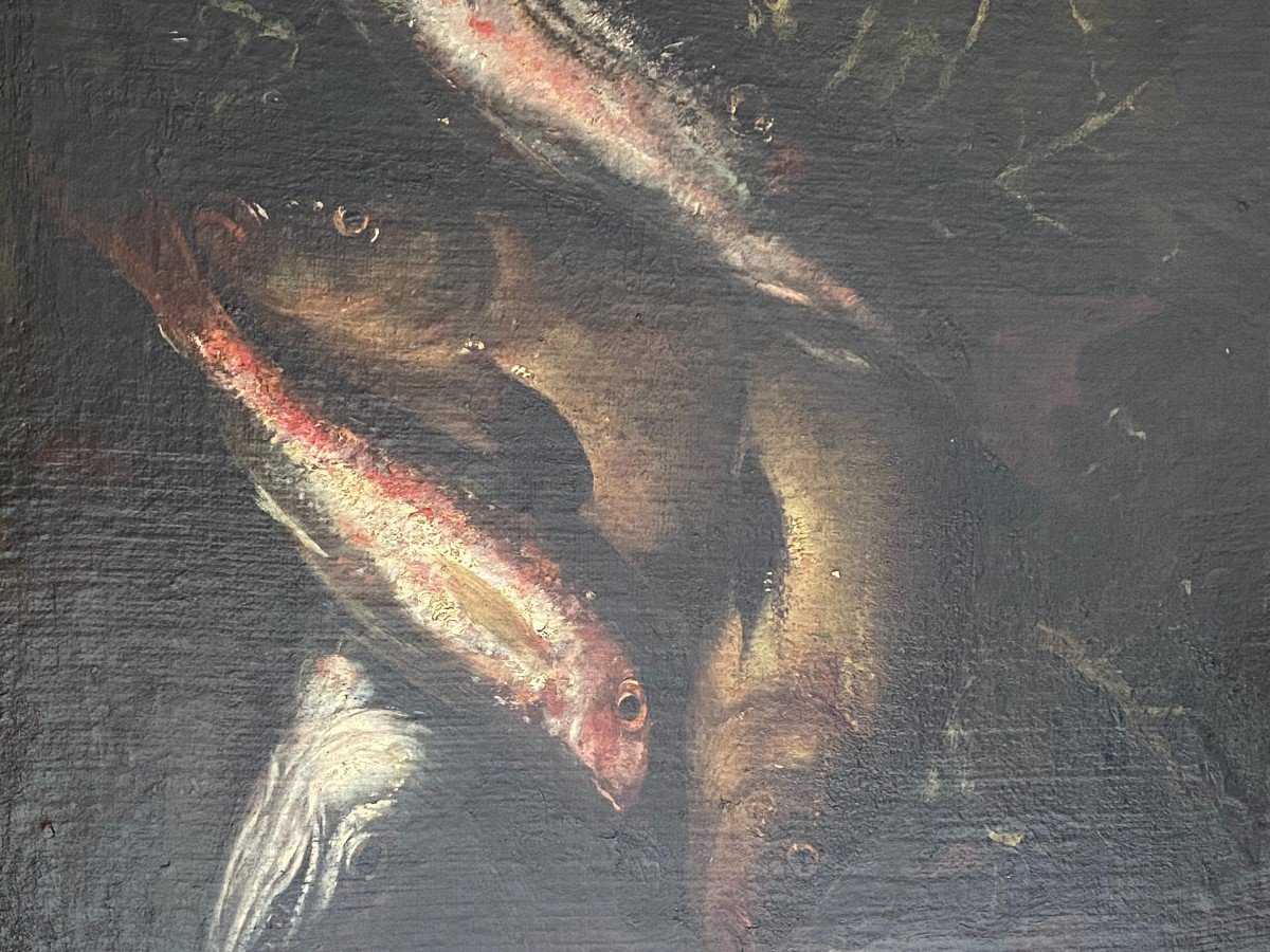 Natura morta con pesci XVII secolo-photo-3