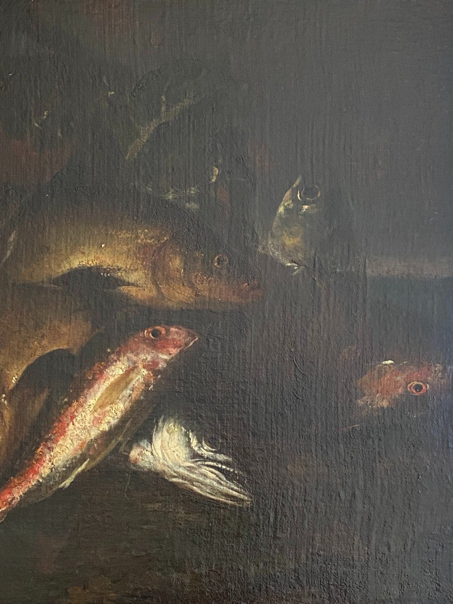 Natura morta con pesci XVII secolo-photo-4