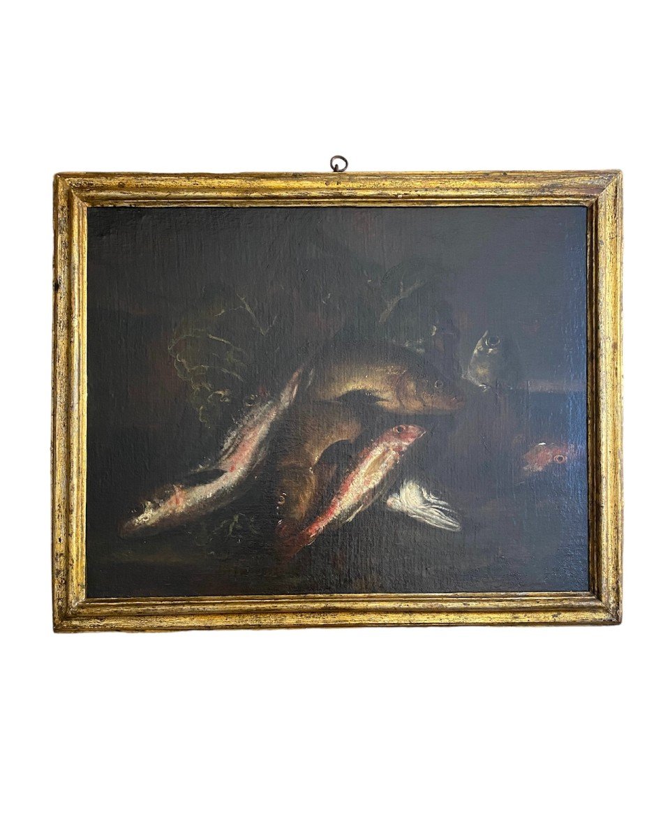Natura morta con pesci XVII secolo-photo-1
