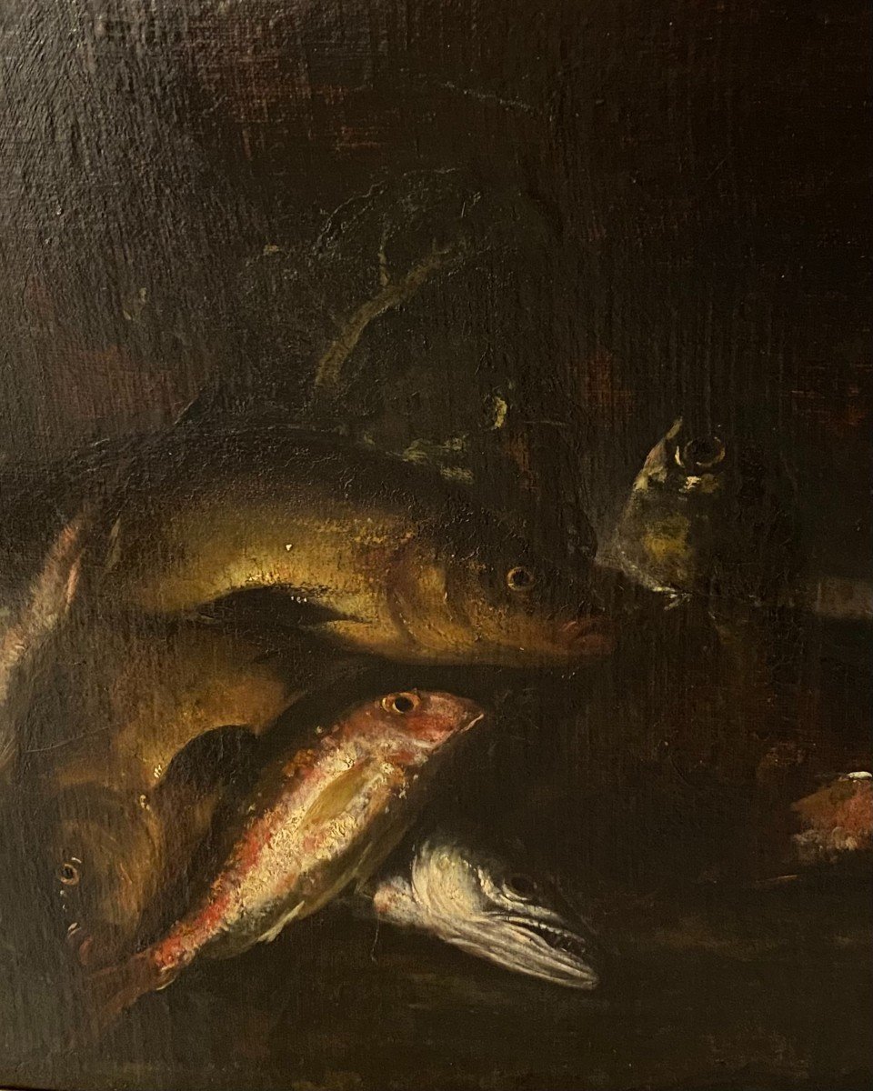 Natura morta con pesci XVII secolo-photo-3
