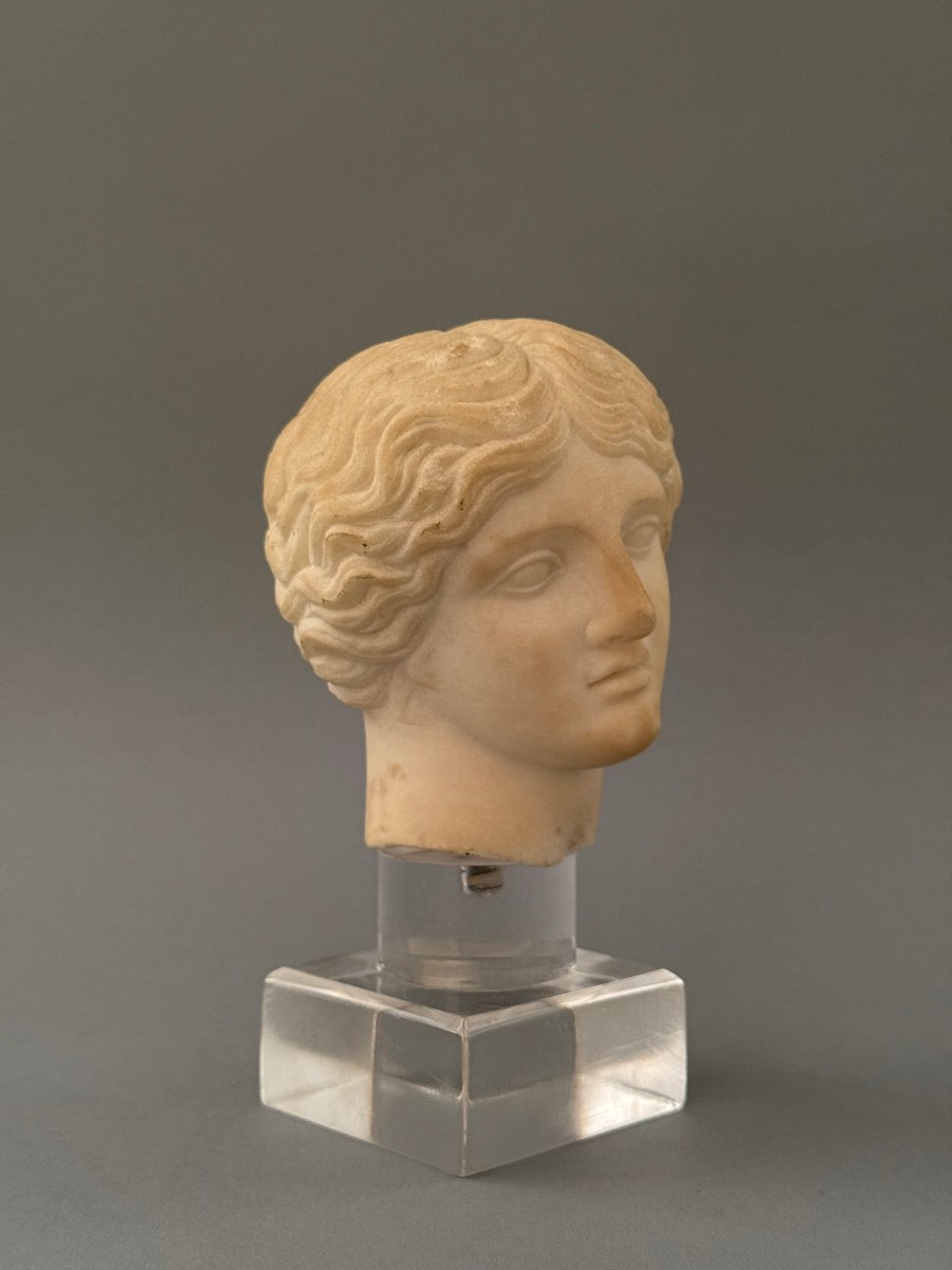 Testina in marmo statuario di Artemide - periodo XVII secolo - Italia -photo-2