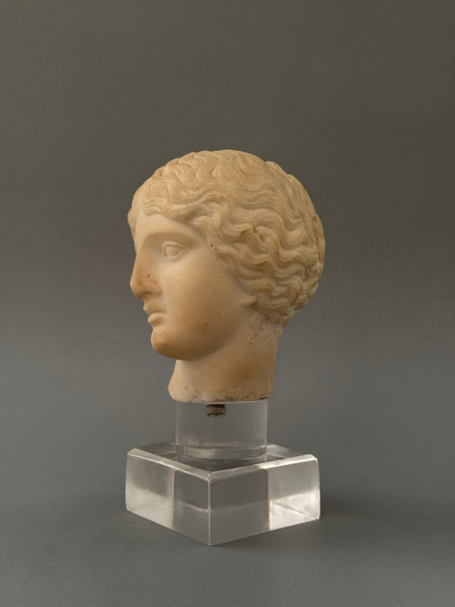 Testina in marmo statuario di Artemide - periodo XVII secolo - Italia -photo-1