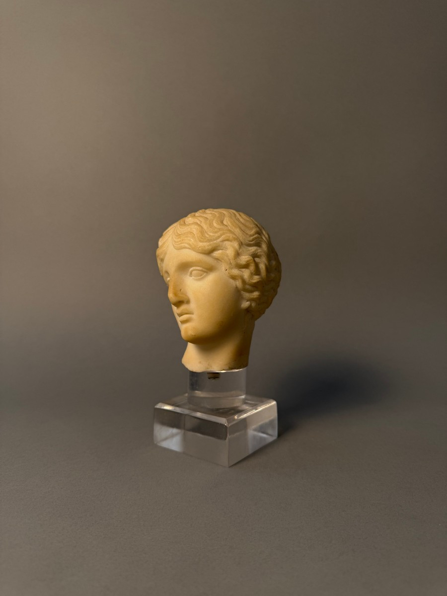 Testina in marmo statuario di Artemide - periodo XVII secolo - Italia -photo-8