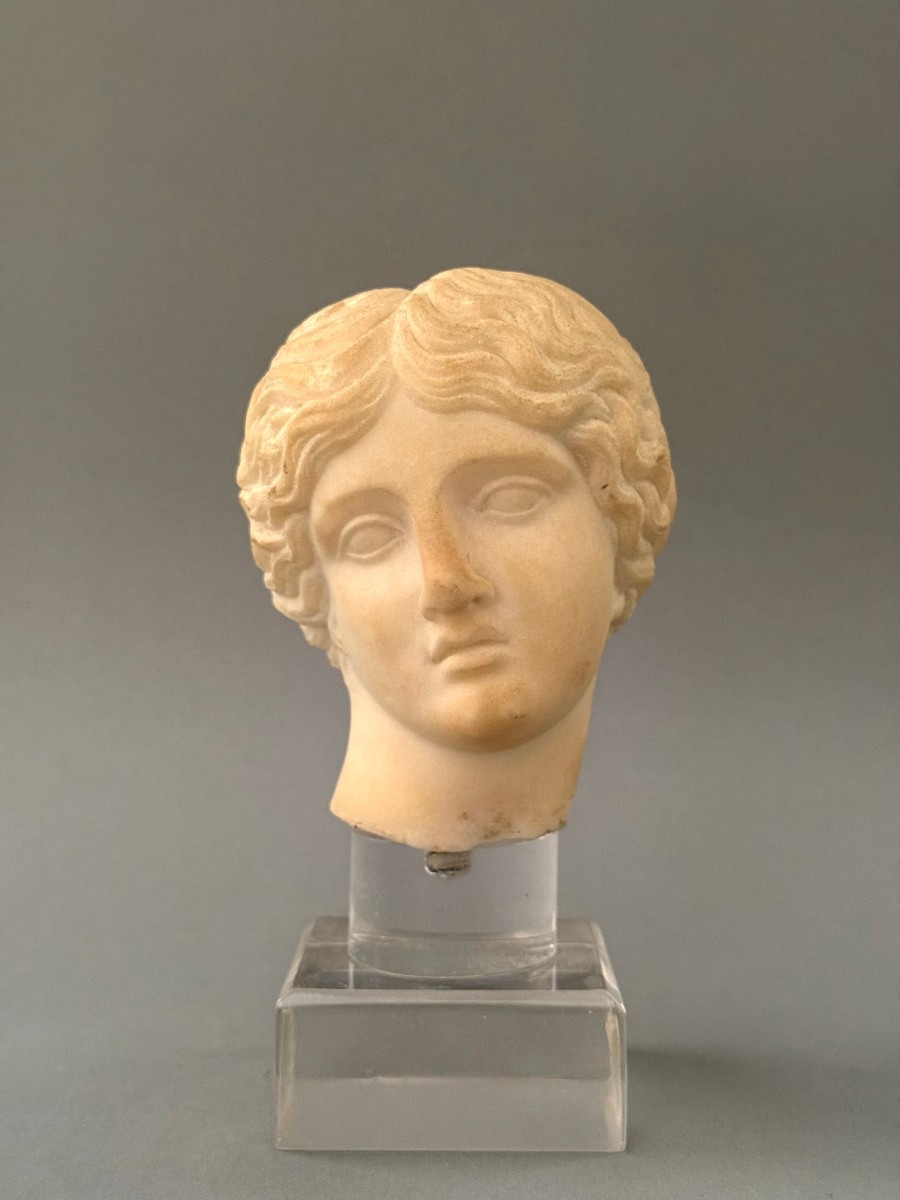 Testina in marmo statuario di Artemide - periodo XVII secolo - Italia 