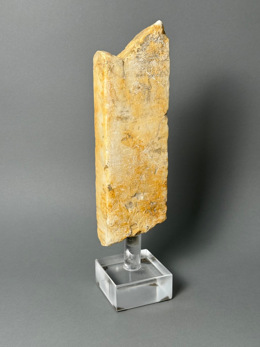 Frammento architettonico in marmo - XV secolo-photo-3