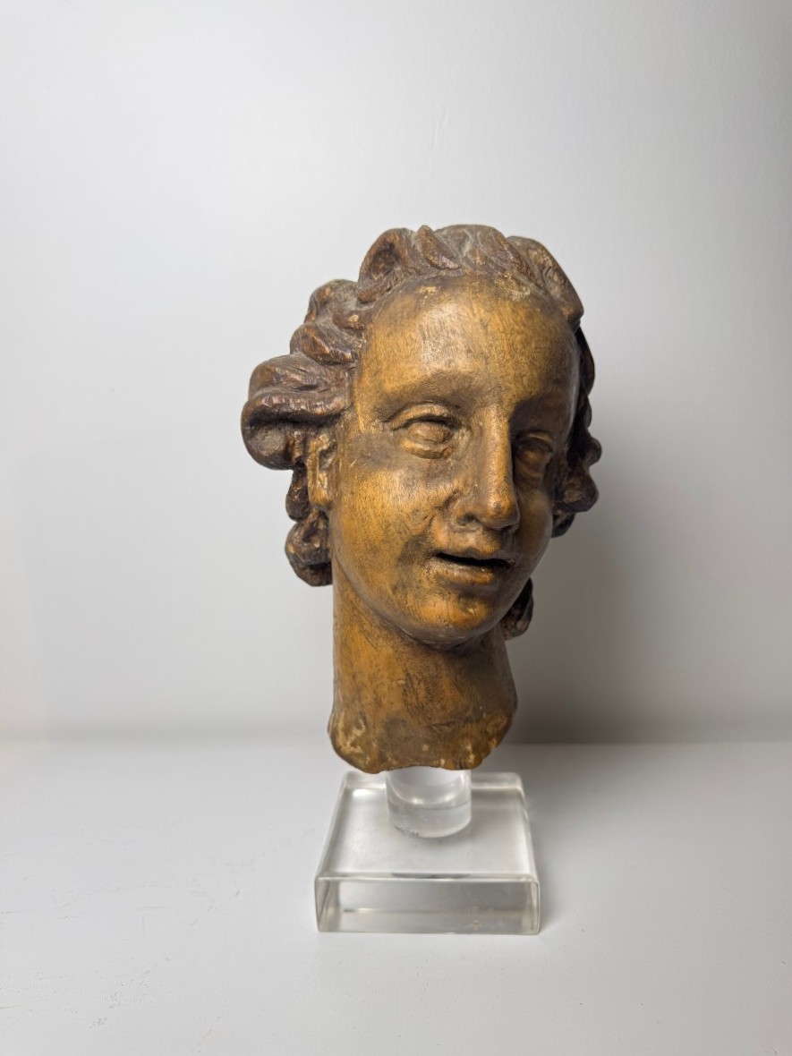 Scultura lignea raffigurante testa di angelo - Genova (Italia) XVII secolo 