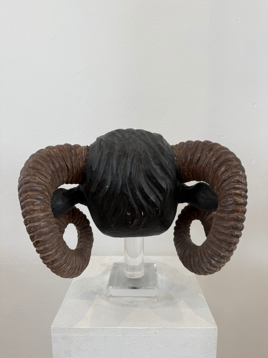 Testa di ariete in legno - Nord Europa XIX secolo-photo-6