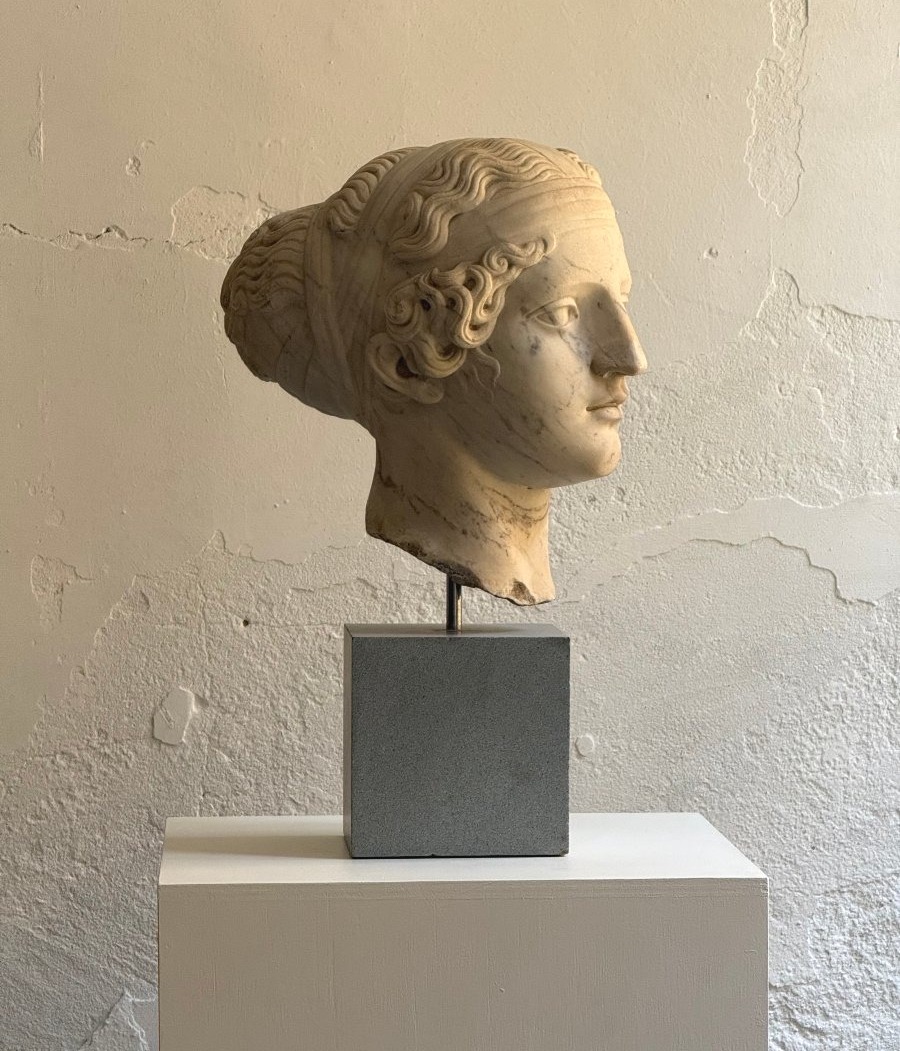 Scultura in marmo raffigurante testa di giovane donna - seconda metà XIX secolo