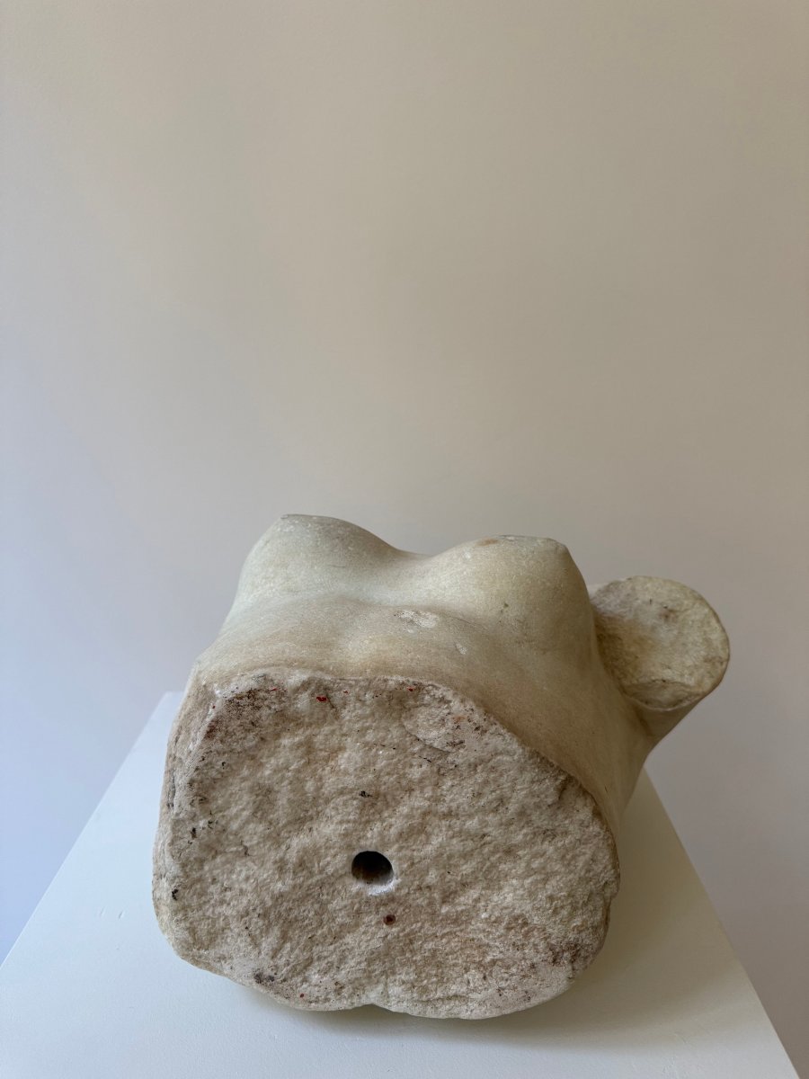 Scultura raffigurante torso di Afrodite in marmo statuario - XVI secolo. Italia -photo-8