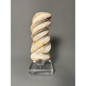 Frammento di colonna a torchon in marmo - periodo XIV secolo