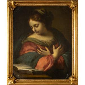 Francesco Botti ( 1640 - 1711) Dipinto raffigurante Madonna che legge - XVII