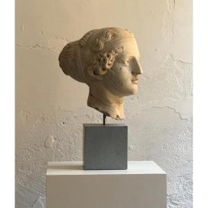 Scultura in marmo raffigurante testa di giovane donna - seconda metà XIX secolo