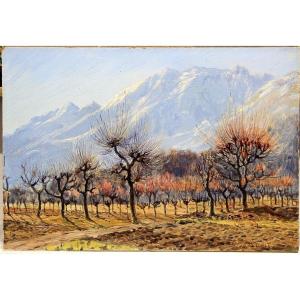 Oil On Panel Ernst Zuppinger Muralto Locarno