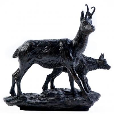 Original Bronze By Damien Colcombet