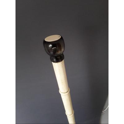 Beautiful Bone Cane