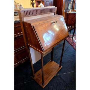 Small Mahogany