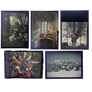 5 Autochrome Light Circa 1900