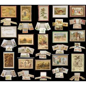 15 Series Of Chromos Around 1880 - 1900 / Nearly 900 Chromos