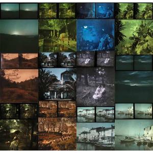 30 Autochrome Stereoscopics Circa 1910