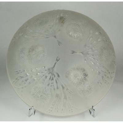Sabino, Cup Glass Molded And Pressed. Seaweed And Sea Urchins