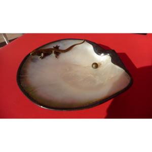 Large Austro-hungarian Shell Empty Pocket Silver Mount, With Bronze Lizard 19th Century Period