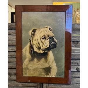 Oil On Canvas Bulldog