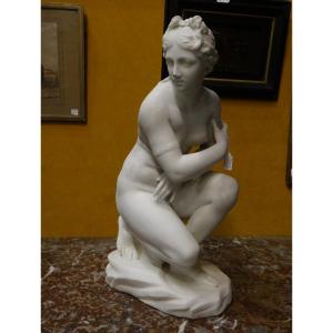 Carrara Marble Venus