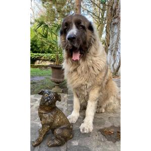Large Terracotta Dog End Of XIX Eme Century