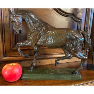 The Skinned Horse After Isidore Bonheur, End Of The 19th Century