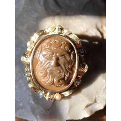 Cameo Head Expressive Of Agate Fauna, Brooch Of The XIXth Century