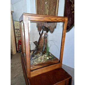 Stuffed Trout In Antique Oak Cabinet Of Curiosity