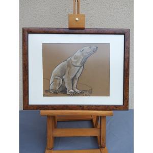 Polar Bear Drawing By Charles Piot