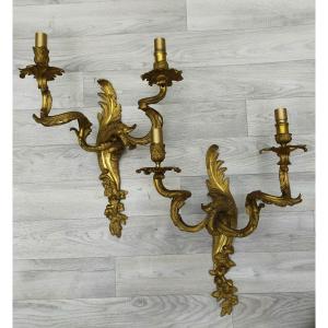 Large Pair Of Louis XV Wall Lights In Gilt Bronze