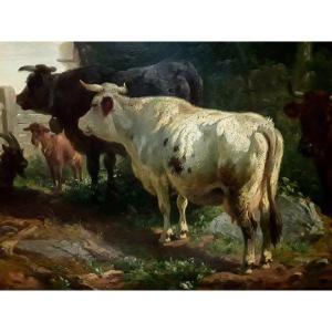 Johann Friedrich Voltz (1817 Nördlingen - 1886 München) ''herd At Dusk''