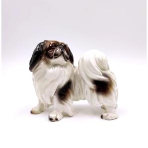 GOLDSCHEIDER, CANE PECHINESE IN CERAMICA ANNI '30.