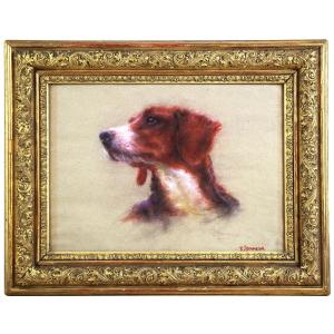 Hunting Dog Portrait Pastel On Paper By Catherine Dammeron (1976)