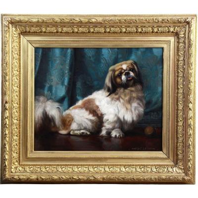 Oil On Canvas Portrait Of A Pekingese Dog 20th French School