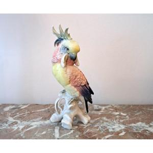 Karl Ens German Porcelain Parrot