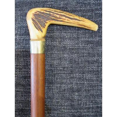 In Antler Handle Cane Cerf