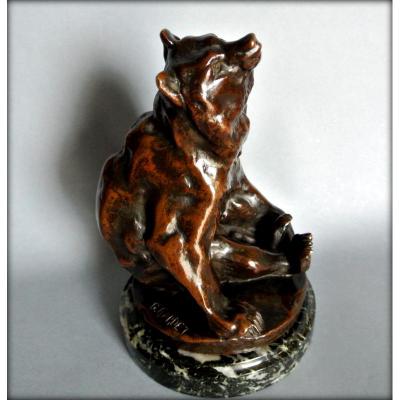 Bronze Bear