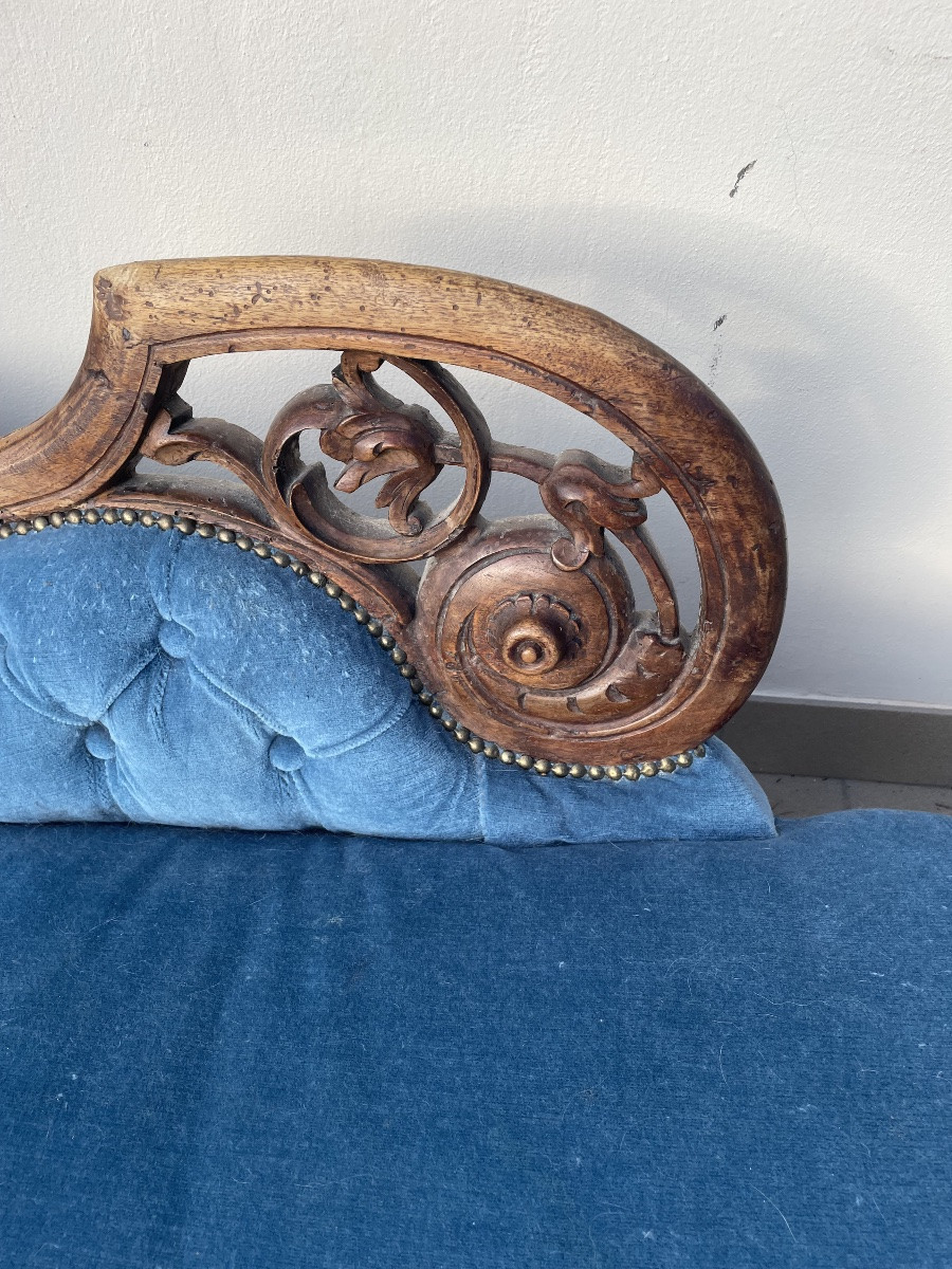 Dormouse in noce Luigi Filippo -photo-3