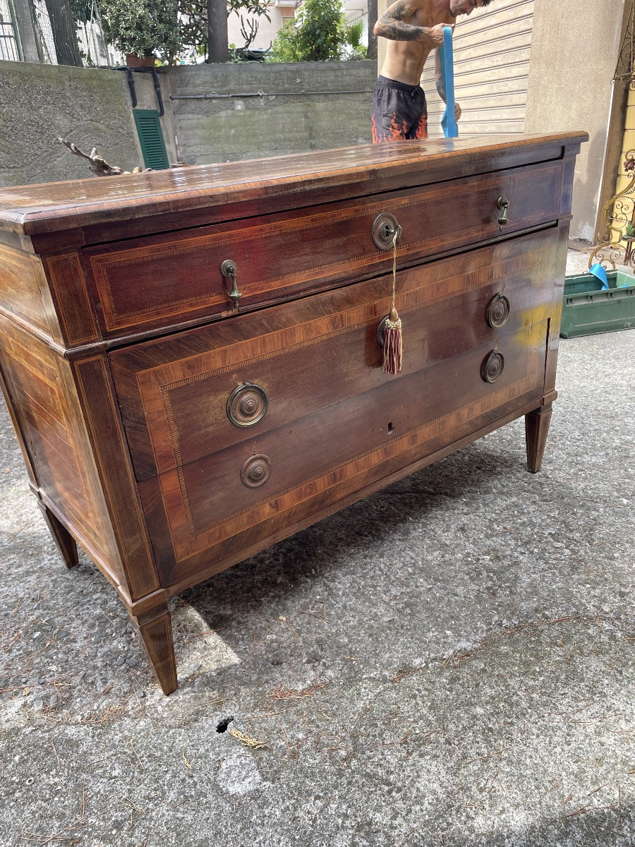 Como luigi XVI genovese-photo-2