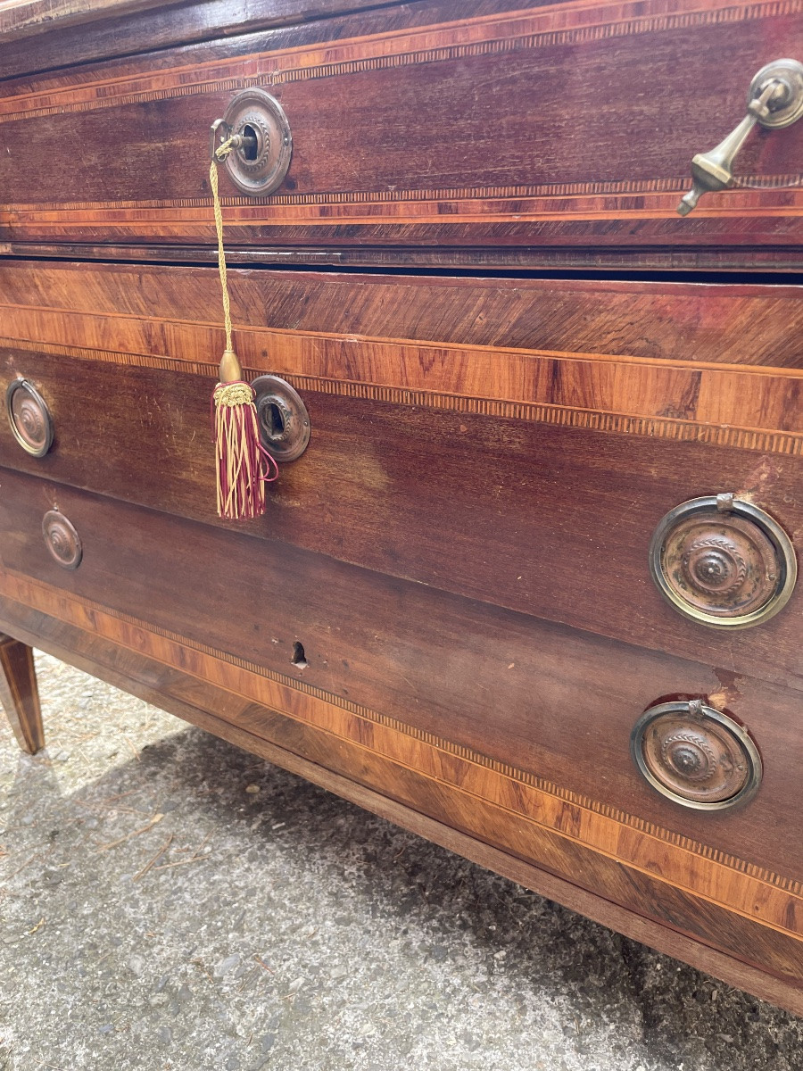 Como luigi XVI genovese-photo-1