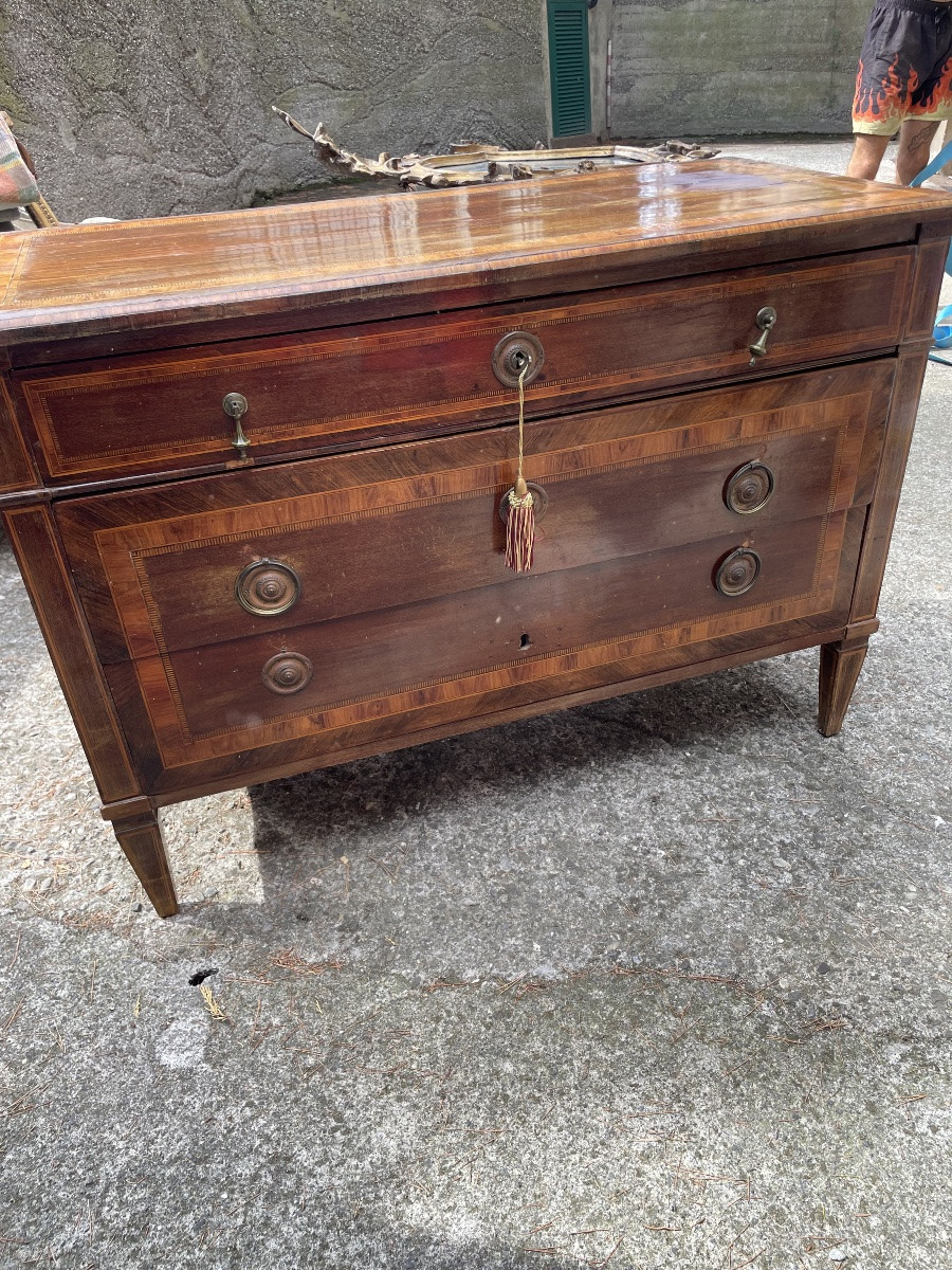 Como luigi XVI genovese-photo-4