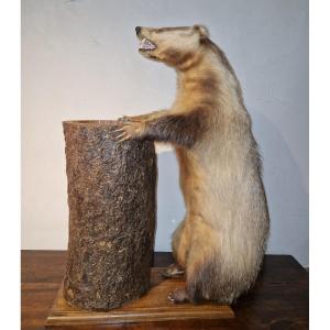 Badger Umbrella Holder - Walking Stick Holder