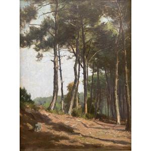 Alexandre De Gassowski (1835 - 1900) Path In The Forest 