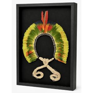 Kayapo Ceremonial Headdress (xingu, Amazonia).