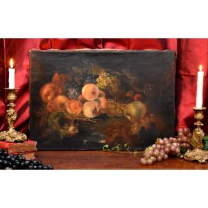 Still Life With Nest And Fruits, Oil On Canvas,  XIXth Century