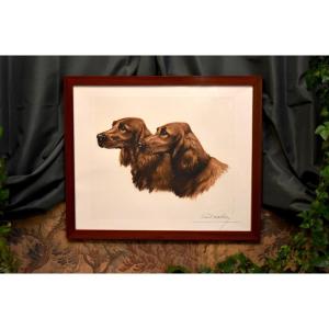 Léon Danchin (1887-1938), Pair Of Irish Setters, Large Signed And Numbered Engraving
